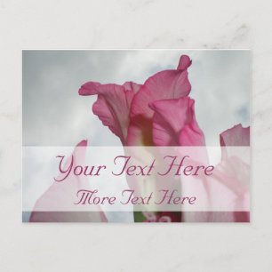 Liksom Crystal Rosa Gladiolus Postcard Vykort