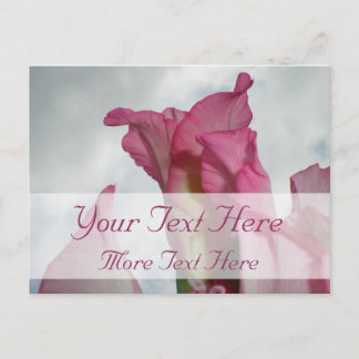 Liksom Crystal Rosa Gladiolus Postcard Vykort