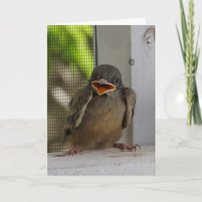 Lil Birdie, Lycklig leende Bird Helgkort (Framsida)