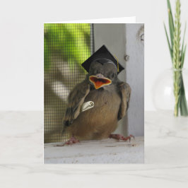 Lil Birdie, Lycklig leende Bird, Studenten Helgkort
