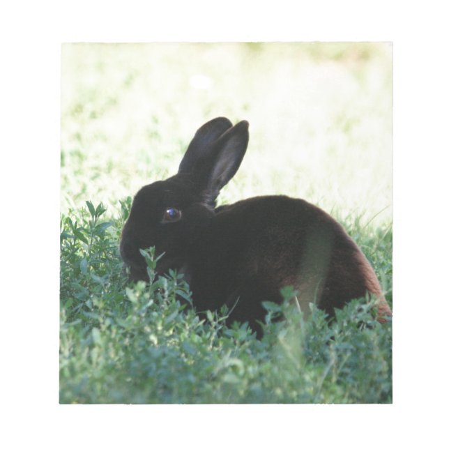 Lil Black Bunny Anteckningsblock (Framsida)