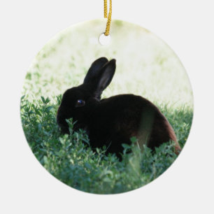 Lil Black Bunny Julgransprydnad Keramik
