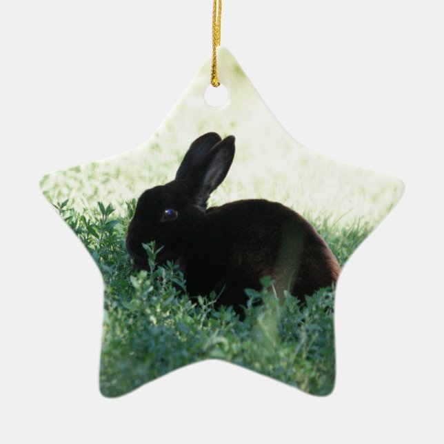 Lil Black Bunny Julgransprydnad Keramik (Framsidan)