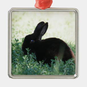 Lil Black Bunny Julgransprydnad Metall