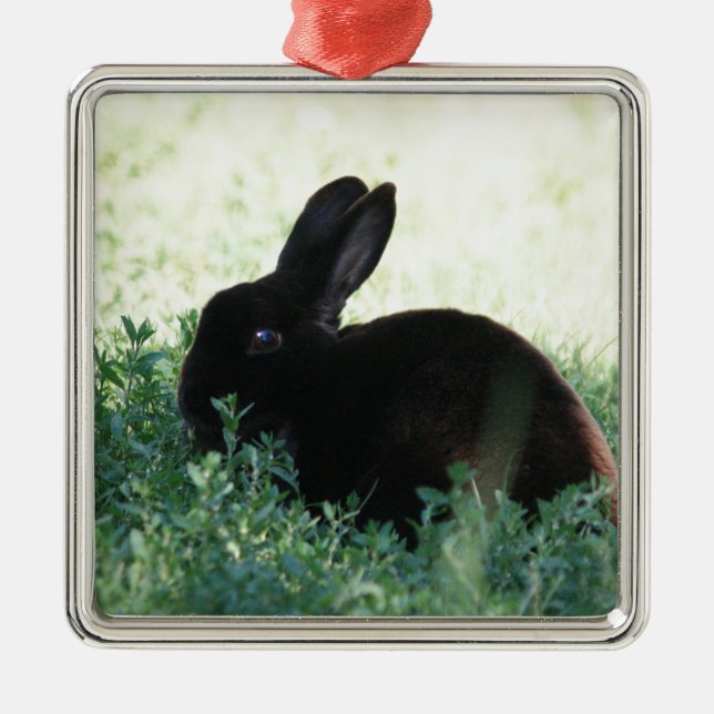 Lil Black Bunny Julgransprydnad Metall (Framsidan)
