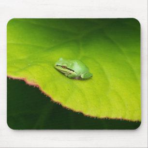 Lil groda Mousepad Musmatta