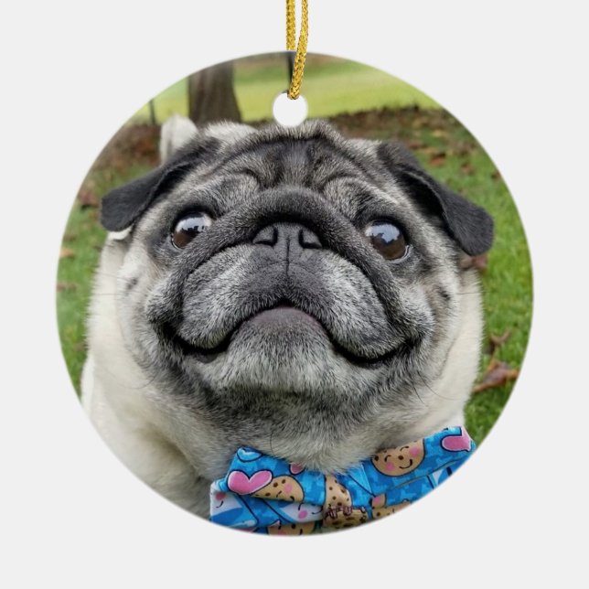 Lil Pickles Da Pug Ornament (Framsidan)