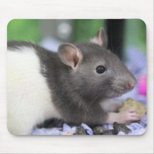 Lil råtta musmatta
