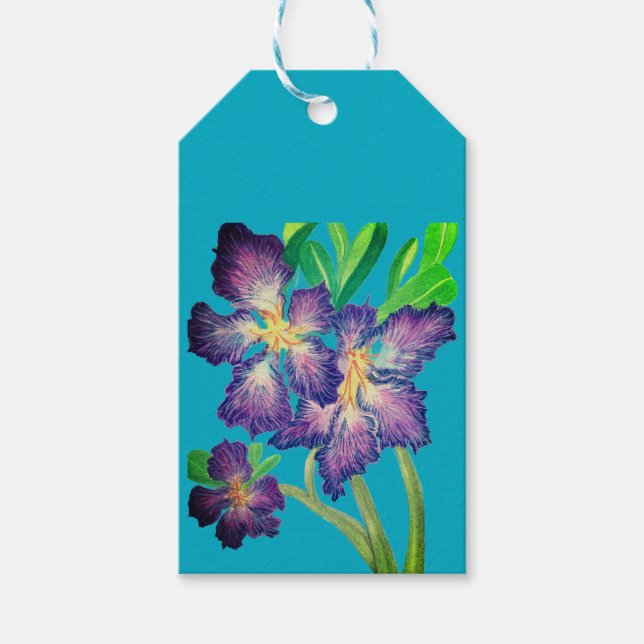 Lila Adenium Presentetikett (Framsidan)