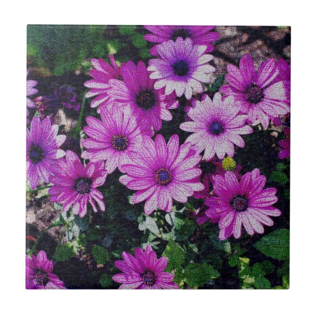 Lila African Daisy Blommigt Art Kakelplatta (Framsidan)
