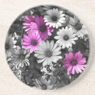 Lila African Daisy Blommigt Underlägg Sandsten