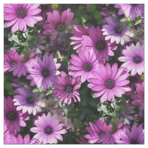 Lila African Daisy Flowers Nature Blommönster Tyg
