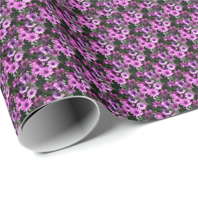 Lila African Daisy Flowers Nature Mönster Presentpapper (Rullad Hörn)