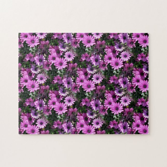 Lila African Daisy Flowers Nature Pussel (Horisontell)