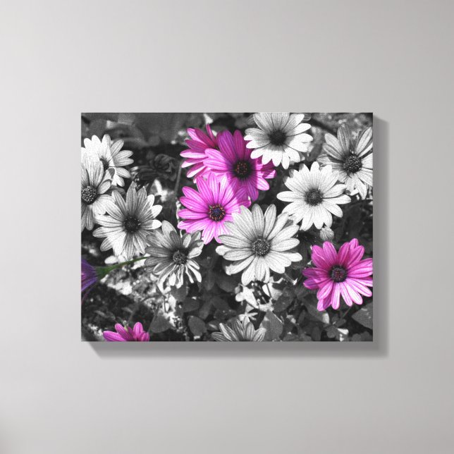 Lila African Daisy Flowers Partial Färg Canvastryck (Framsida)