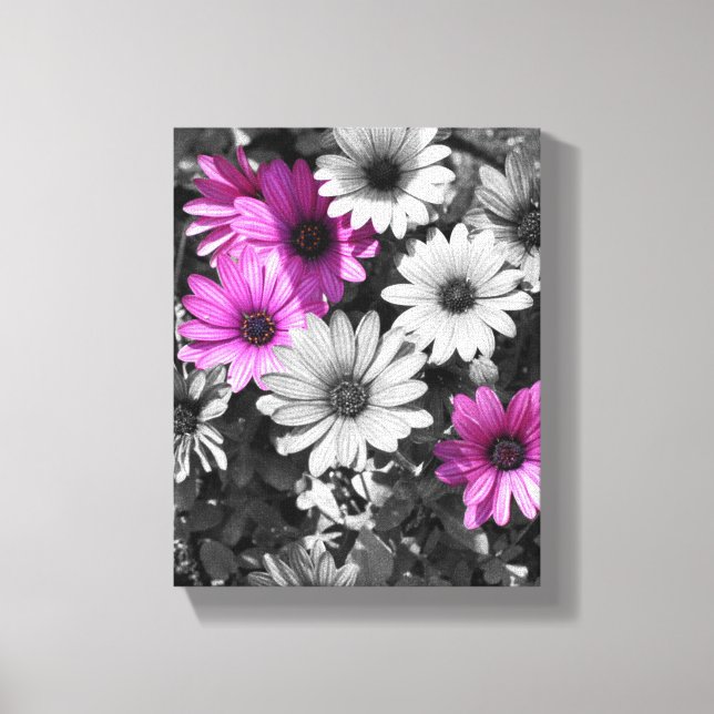Lila African Daisy Flowers Partial Färg Canvastryck (Framsida)