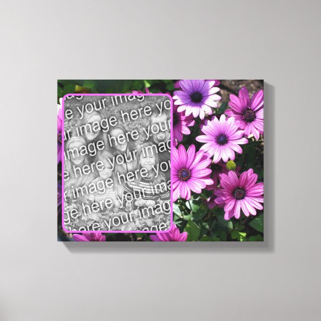 Lila African Daisy Flowers Skapar ditt eget foto Canvastryck (Framsida)