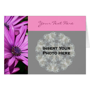 Lila African Daisys Blommigt Photo Card Hälsningskort