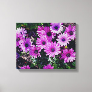 Lila African Daisys Crackled See Canvastryck