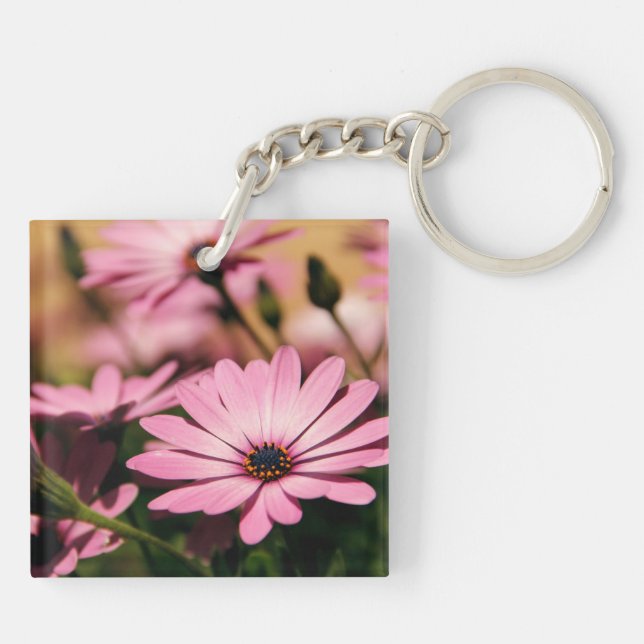 Lila Afrikas Daisy (Baksidan)