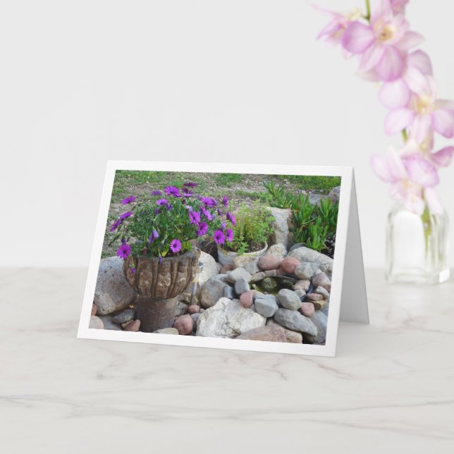 Lila Afrikas Daisy Porträtt Kort (Orkide)