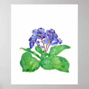 lila Afrikas violetta vattenfärgsmålning Poster