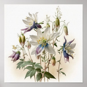 Lila akvilja blommor konsttryck poster