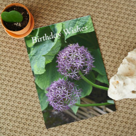 Lila Allium Blommigt Birthday Kort
