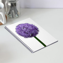 Lila Allium-blomning på vit bakgrund Anteckningsbok