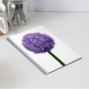 Lila Allium-blomning på vit bakgrund Anteckningsbok