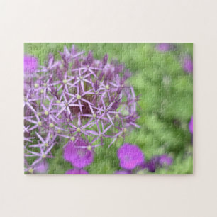 Lila Allium Flower Blommars Natur Fotografi Pussel