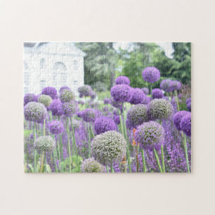 Lila Allium Garden Kew Gardens London UK Pussel
