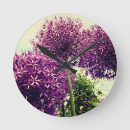 Lila Allium Rund Klocka