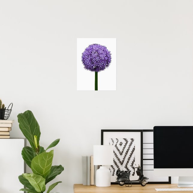 Lila Alliumblom på vit bakgrund Poster (Hemmakontoret)