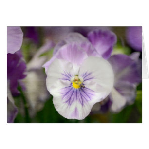 Lila and White Violas by Shirley Taylor Hälsningskort