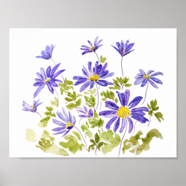 lila Anemone blanda Vattenfärg Poster (Framsidan)