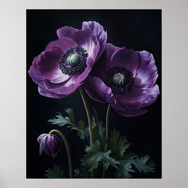 Lila Anemone Flowers Art Print Poster (Framsidan)