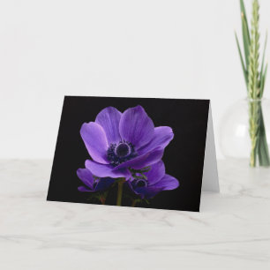 Lila Anemones Kort