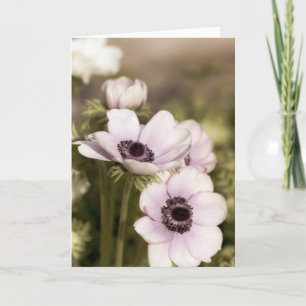 Lila Anemones Note Kort