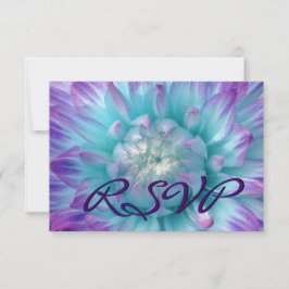 LILA AQUA BLUE Dahlia OSA Bröllop Response