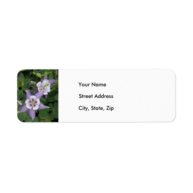 Lila Aquilegia, Columbine Address Label Returadress Etikett (Framsidan)