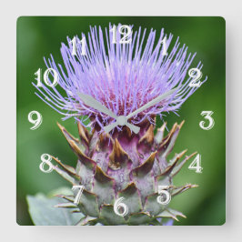 Lila Artichoke Tistel Huvud Blomma Stor Klocka