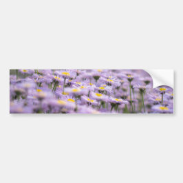 Lila Aster Flowers Bildekal