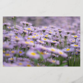 Lila Aster Flowers Brevpapper