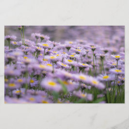 Lila Aster Flowers Brevpapper