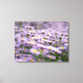 Lila Aster Flowers Canvastryck