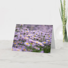 Lila Aster Flowers Kort