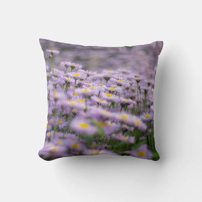 Lila Aster Flowers Kudde (Framsida)