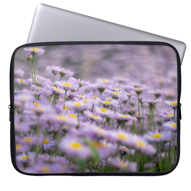 Lila Aster Flowers Laptop Fodral (Framsidan)