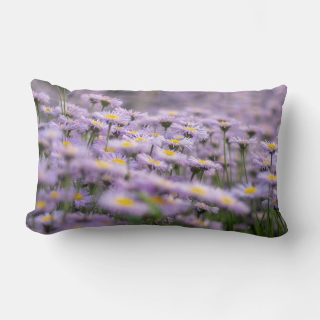 Lila Aster Flowers Lumbarkudde (Framsida)